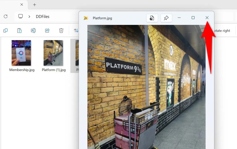 A file preview window in Peek.