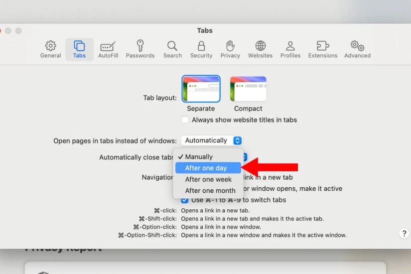 Screenshot of the automatically close tabs setting in Safari with an arrow next to the &ldquo;after one day option.