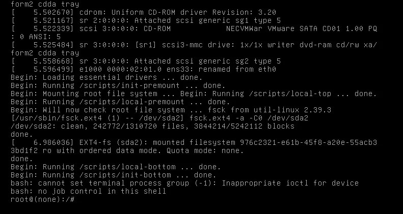 rminal screenshot showing a Linux system booting directly into a minimal root shell.