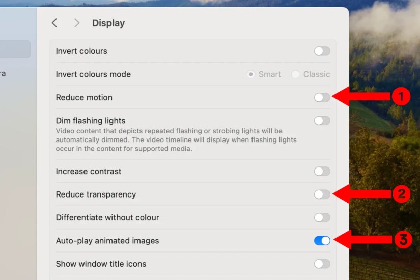 Screenshot of the display-related accessibility settings menu on macOS.