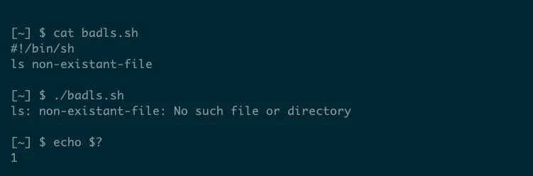 A shell script returning its last command&rsquo;s exit code.
