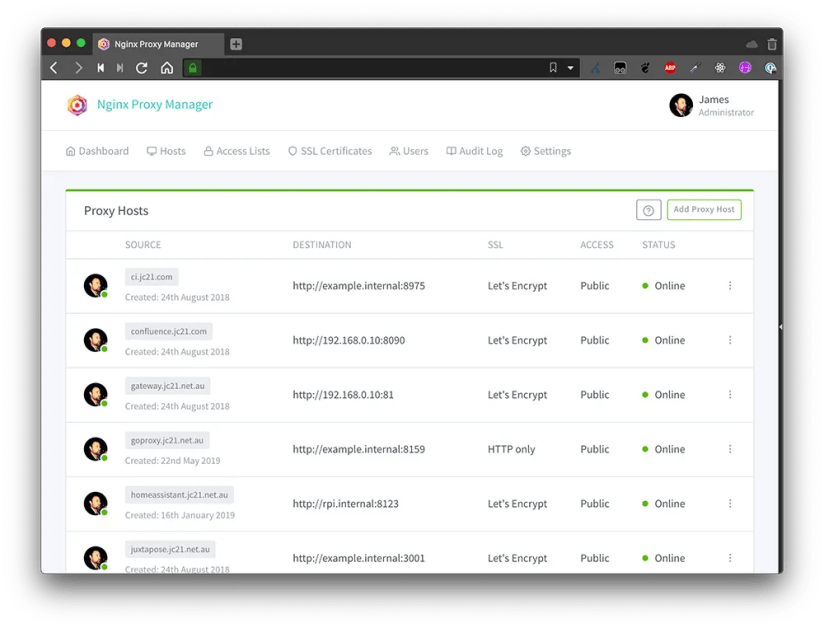 The Nginx Proxy Manager proxy hosts screen showing domains in use by the reverse proxy.