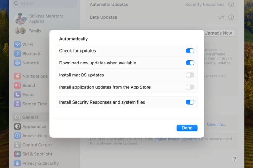Screenshot of the software update section in macOS with the automatic updates option.