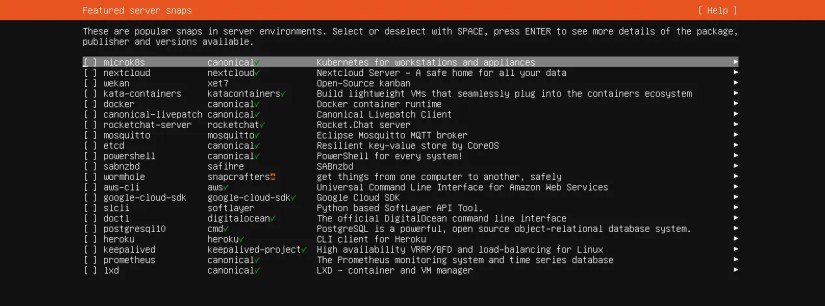Ubuntu server preinstall software selection menu