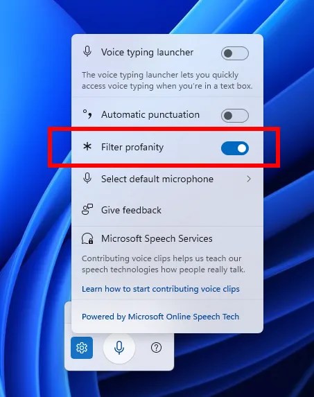 The profanity filter option in Windows 11 Beta 26120.3941.