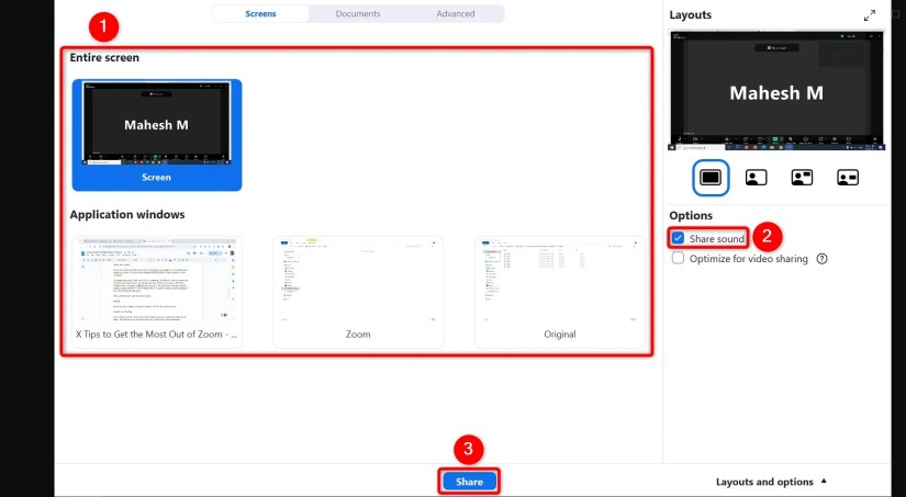 Various screens, &ldquo;Share Sound,&rdquo; and &ldquo;Share&rdquo; highlighted on Zoom&rsquo;s screen-sharing window.