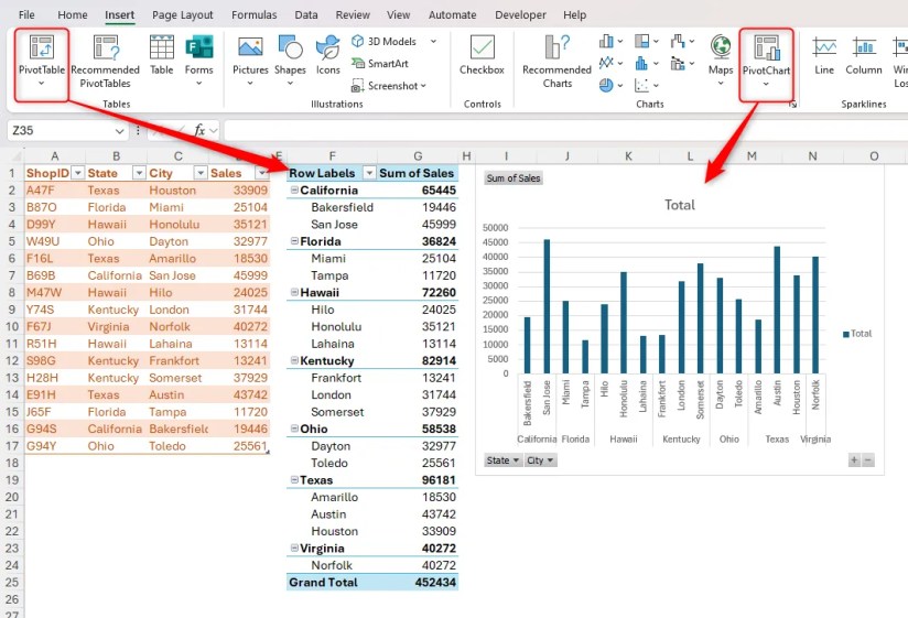 A PivotTable and PivotChart in Microsoft Excel.