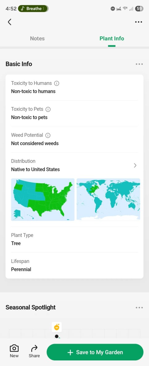 Basic info about a plant in the &lsquo;PictureThis&rsquo; app for Android.