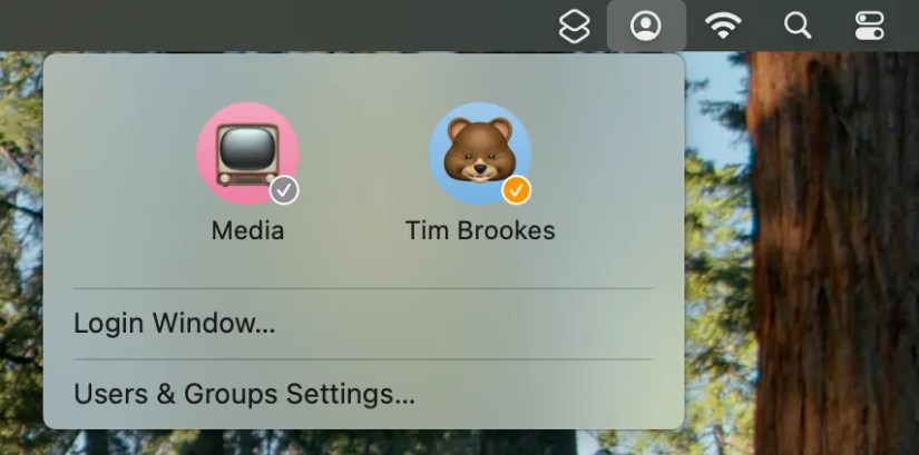 Fast user switching in macOS.