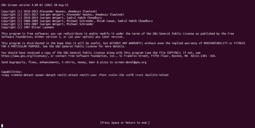 GNU Screen running on Ubuntu WSL.