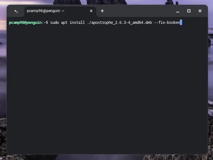 Installing a deb package with apt through Linux on a Chromebook.