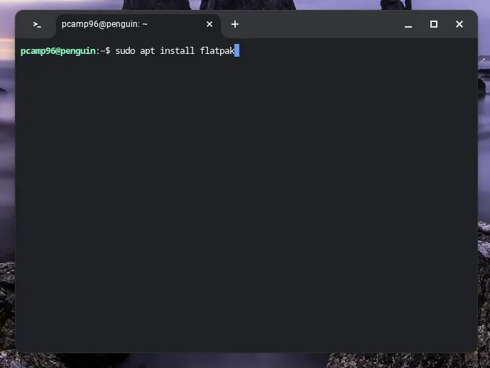 Installing flatpak with apt through Linux on a Chromebook.