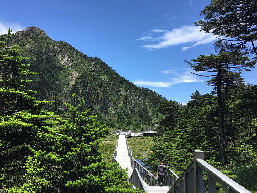 iPhone 6S photo of a mountain trail.
