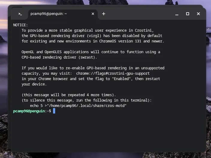 Linux terminal launched on Chromebook.