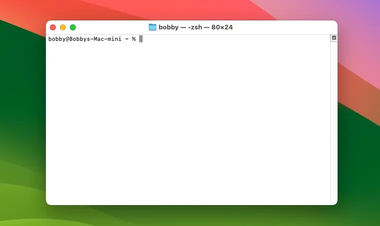 A new terminal window on macOS showing a prompt at the user’s home directory.