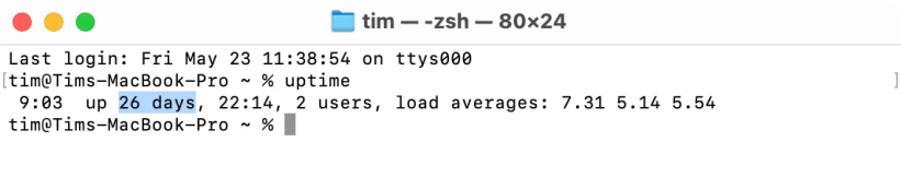 macOS Terminal uptime command.