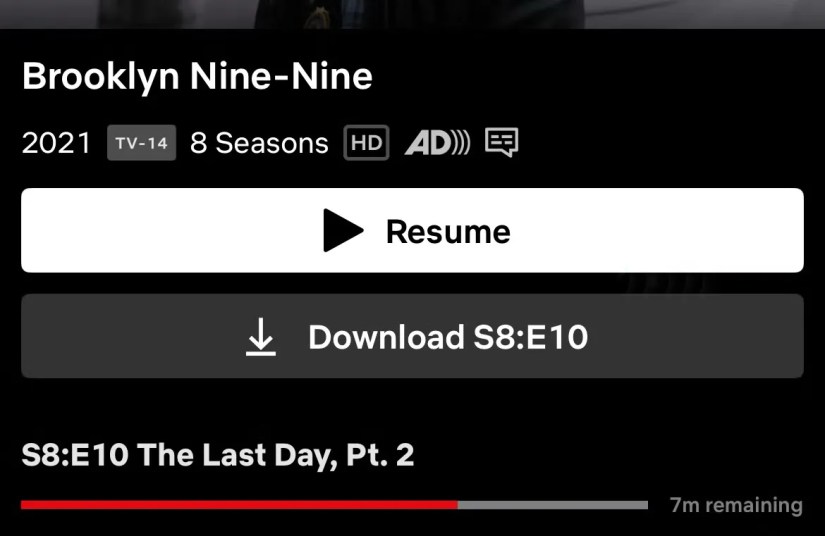 Netflix download button.