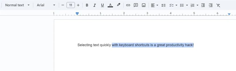 A portion of text highlighted in Google Docs.
