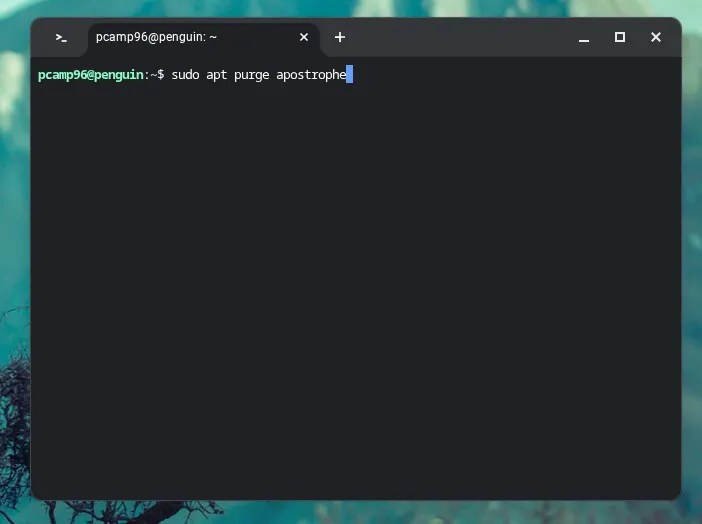Uninstalling an app with apt on Linux running on a Chromebook.