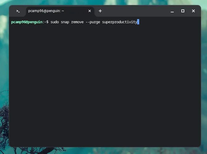 Uninstalling an app with Snap on Linux running on a Chromebook.