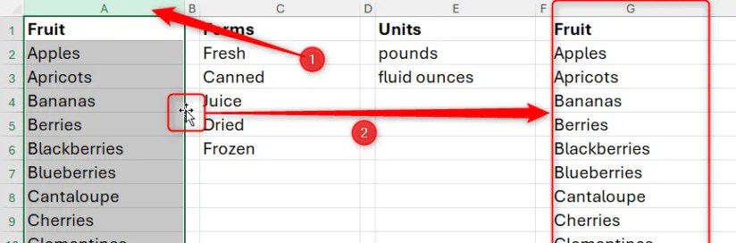 A column is selected in Excel, and it is duplicatd to another column by clicking and dragging whilst holding Ctrl.