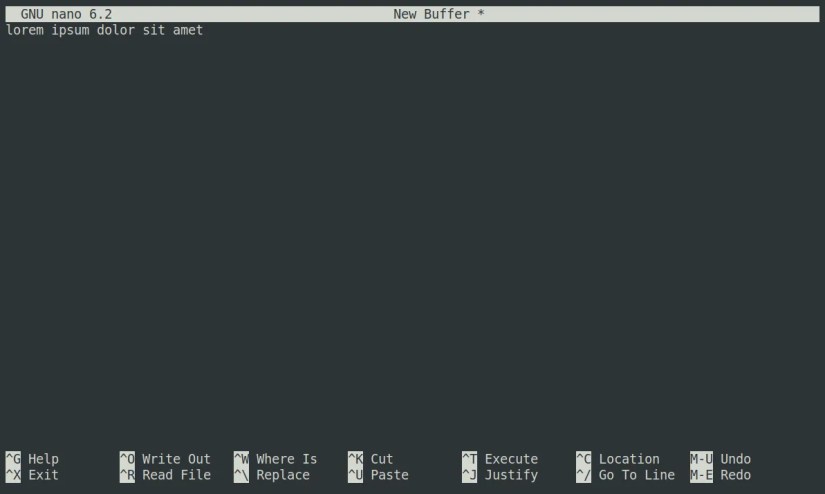 The nano text editor showing just a single line of text and two lines of keyboard shortcuts at the bottom.