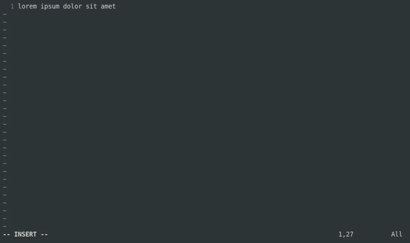 Vim showing just a single line of text with very minimal information displayed in the window.