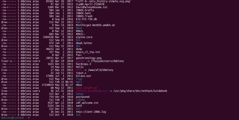 A session on a remote machine in SSH in the Linux terminal.