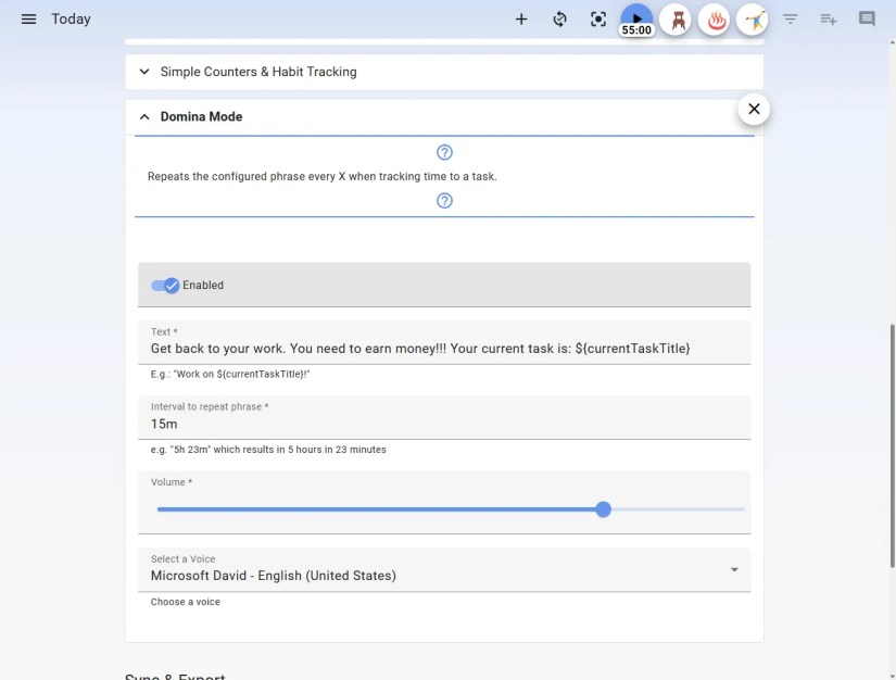 Super Productivity Domina Mode settings.