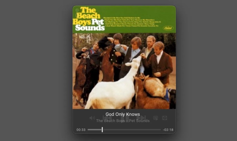 The music player in IINA.