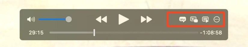 The on screen conroller in IINA.