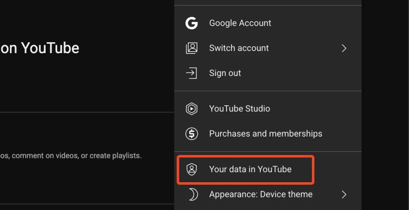 The Your Data in YouTube option.