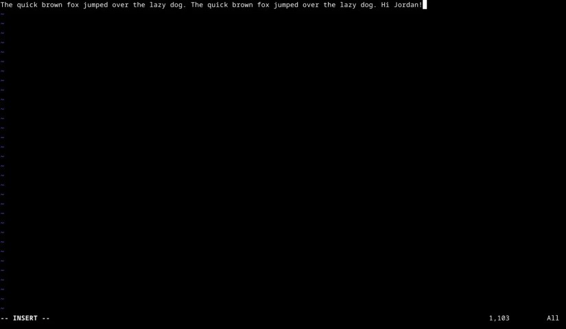 Editing a text file in Vim in the Linux terminal.