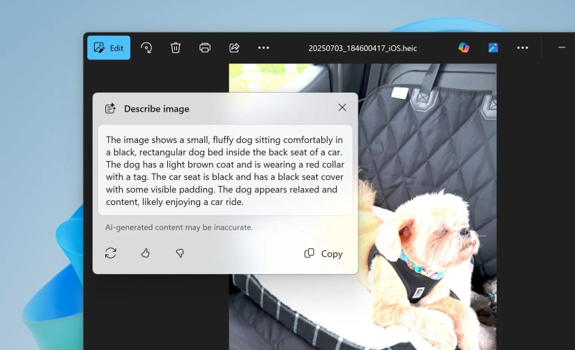 Windows Photos app describing an image of a dog.