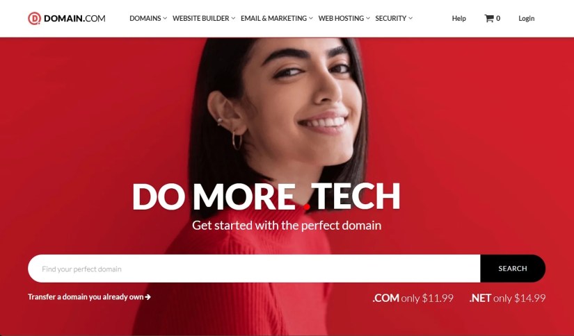 Image showing Domain homepage