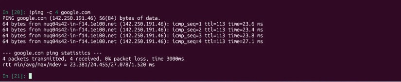 External ping command executed in IPython.