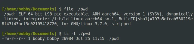 The file command showing details of an executable binary while ls confirms that it does not have execute permission.