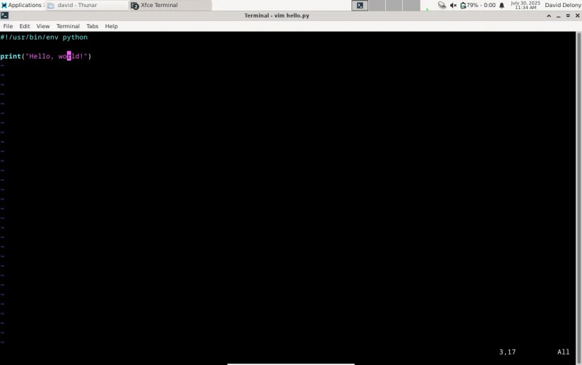 Editing a Python &ldquo;Hello, world!&rdquo; program in Vim in a Linux terminal window.