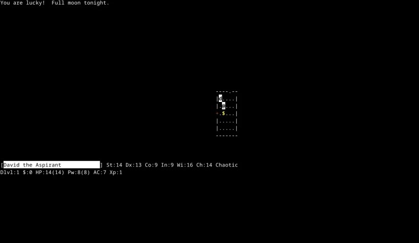 NetHack running in the Linux terminal.