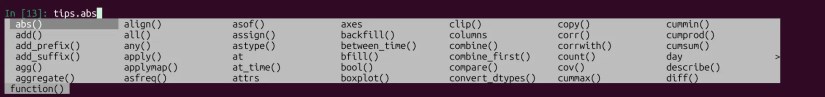 IPython tab complete of tips dataframe.