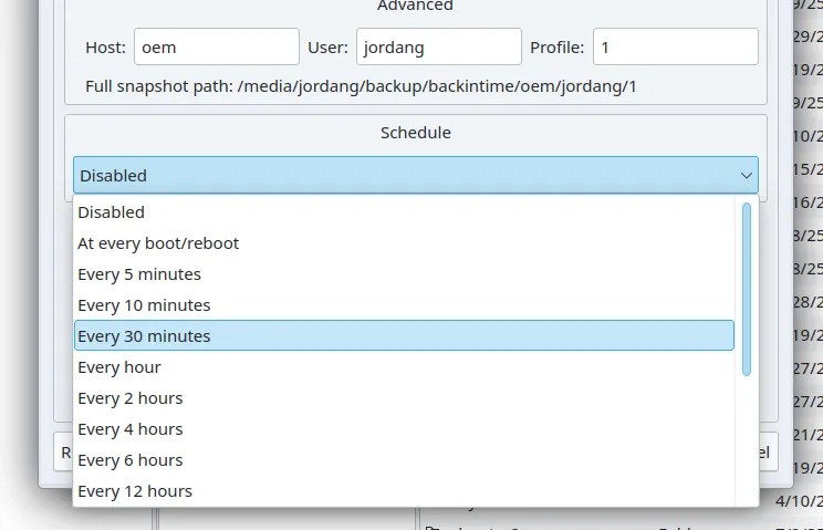 Scheduling options in Back in Time.