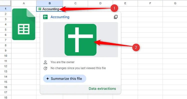 The floating window that appears when you click a link chip in Google Sheets.