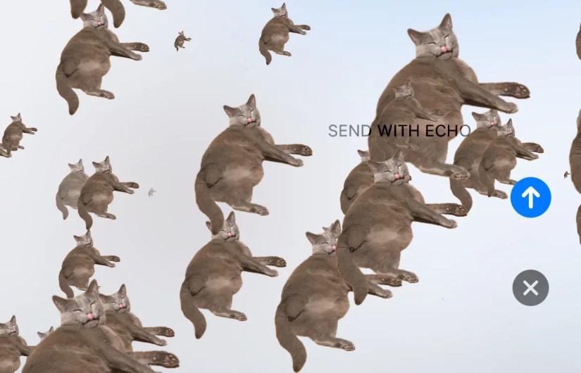 A preview of the Echo screen effect in Messages.