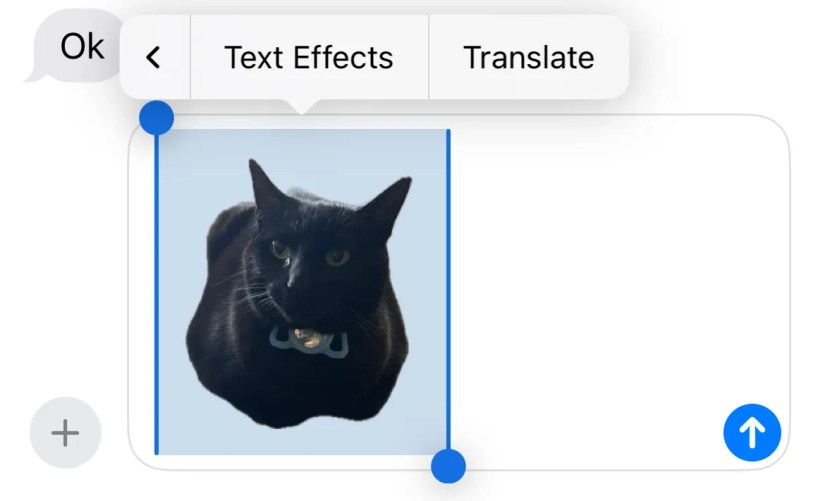 Applying a text effect to a custom emoji ticker.