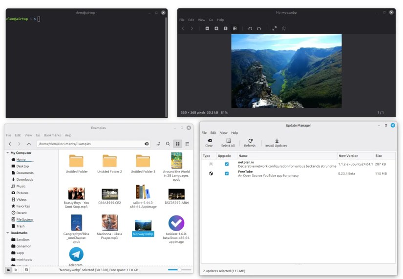 Blue highlights in Linux Mint