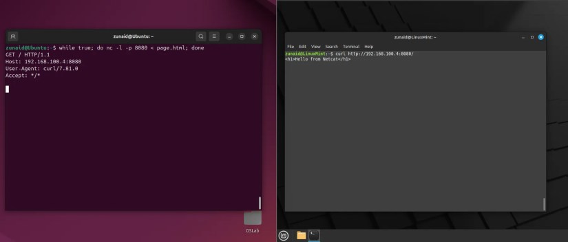 Creating a minimal web server using the nc command and fetching the content using curl.
