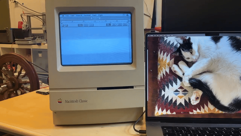 MacFriends Project-anim