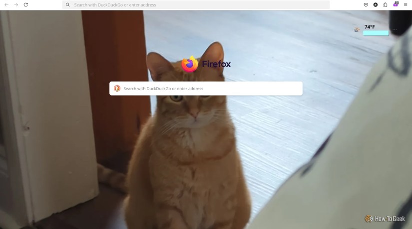 Firefox home page with a picture of a cat set as the background.