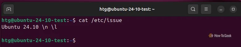 Ubuntu terminal showing the cat issue command, revealing that the version number is 24.10.