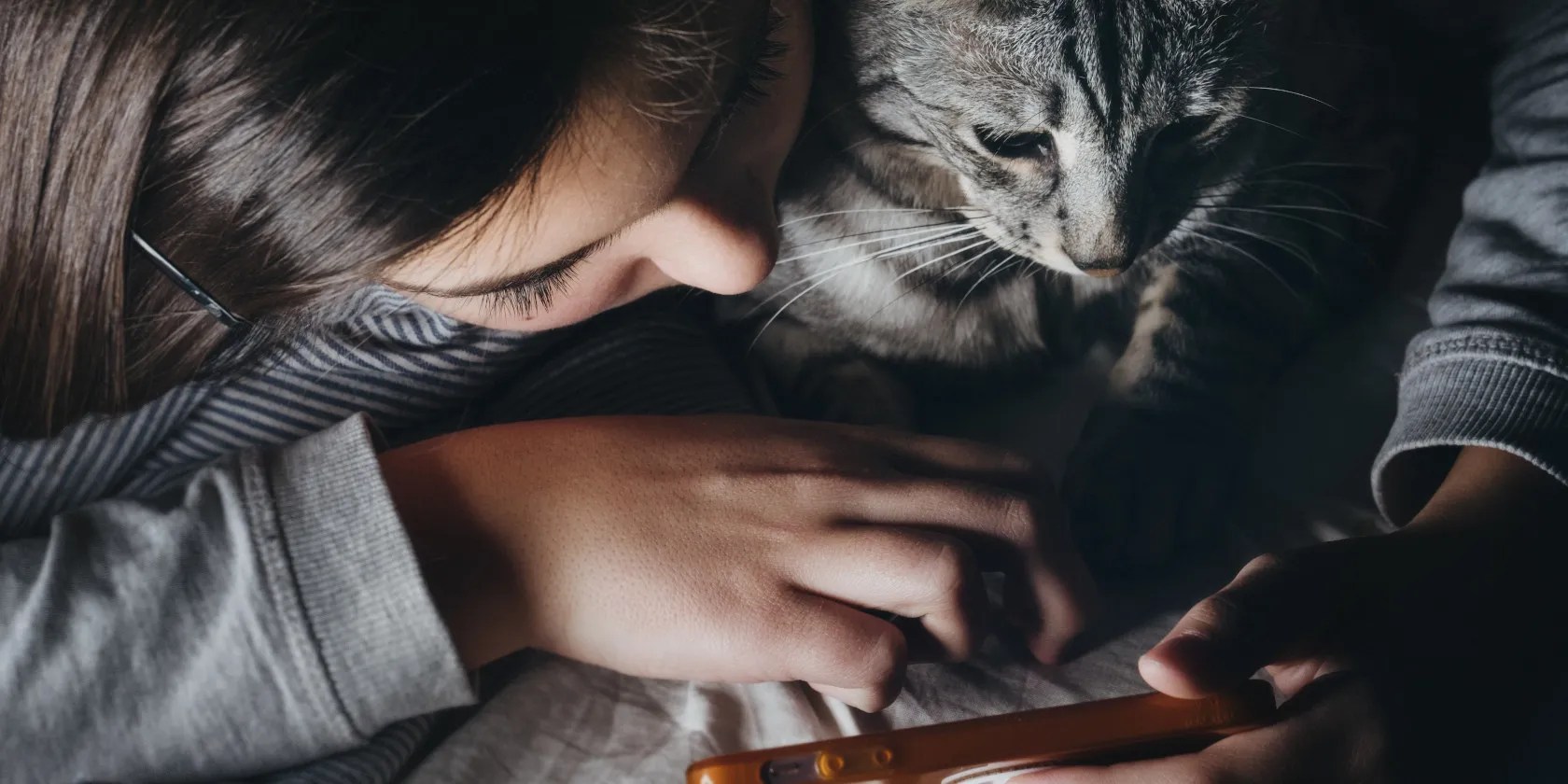 7 Cat Games for Your iPad or Android Tablet